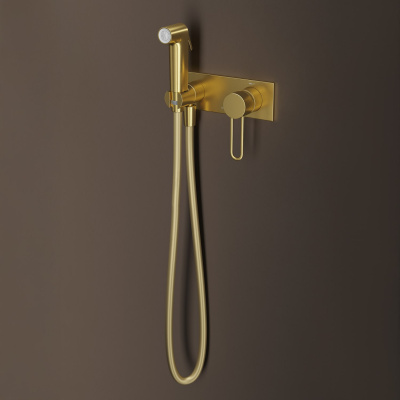 Встраиваемый смеситель с гигиеническим душем с защитным клапаном, матовое золото, Duna, IDDIS, DUNMGV0i08