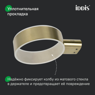 Ершик, нержавеющая сталь, Petite, золото матовое, IDDIS, PETG0SGi4
