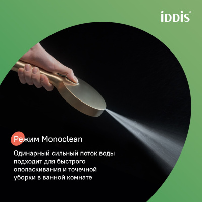 Лейка для душа, золото матовое, Aiger, IDDIS, AIG4FMGi18