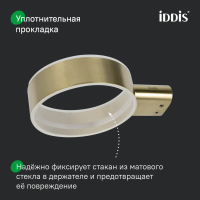 Стакан для зубных щеток, нержавеющая сталь, Petite, золото матовое, IDDIS, PETG0SGi45