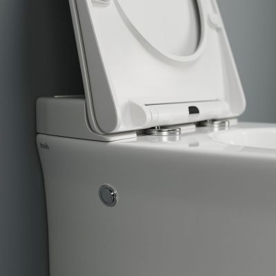 Приставной унитаз с функцией импульсного смыва, Pulse, IDDIS, PULIDSEi26