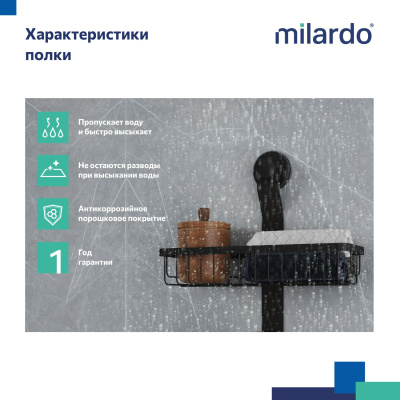 Двухъярусная прямая полка, проволока стальная, черный матовый, Easy, Milardo, EAS0WS2M44