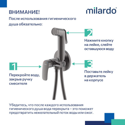 Встраиваемый смеситель с гигиеническим душем, графит, Rora, Milardo, RORGMR0M08