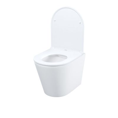 Унитаз подвесной безободковый, Calipso, IDDIS, CALRNSEi25