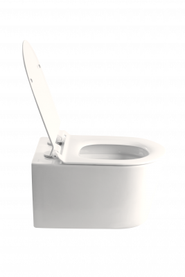 Унитаз подвесной безободковый, Petra, CETUS, 3315 PP