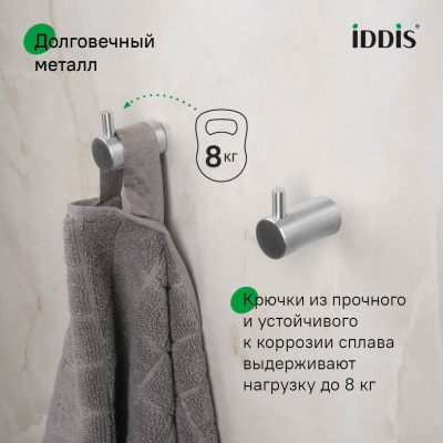 Комплект одинарных крючков, сплав металлов, Petite, хром матовый, IDDIS, PET2SS2i41