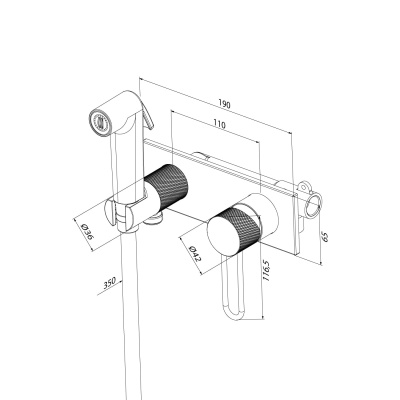 Встраиваемый смеситель с гигиеническим душем с защитным клапаном, матовое золото, Duna, IDDIS, DUNMGV0i08