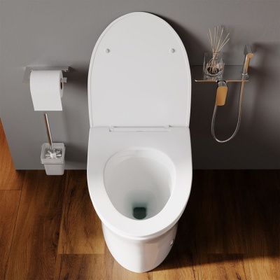 Приставной унитаз с функцией импульсного смыва, Pulse, IDDIS, PULIDSEi26